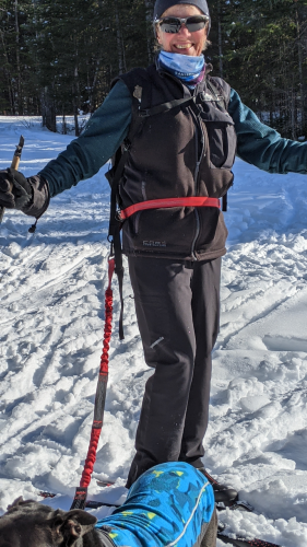 Dog and skier